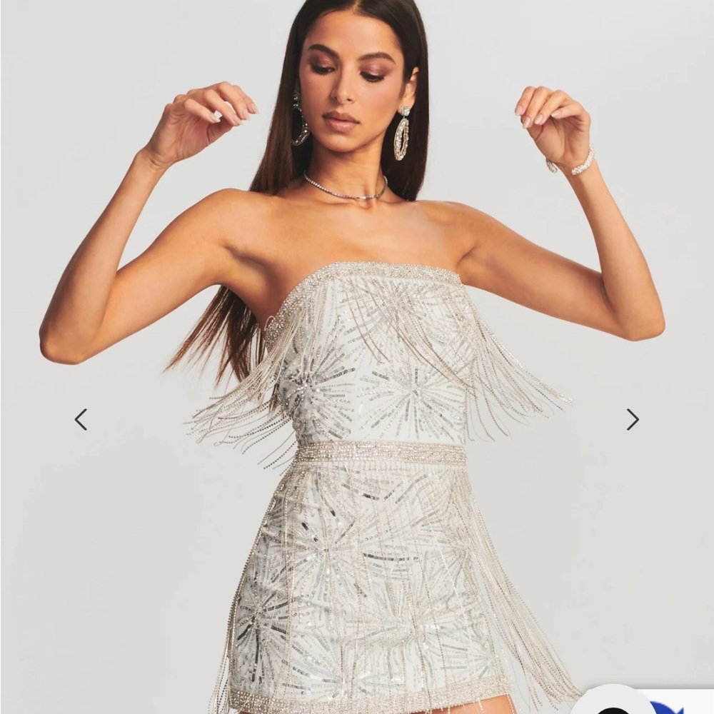 Retrofete Dixie sequin fringe dress